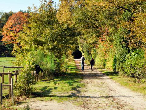 RadioReisDienst: Noord-Brabant