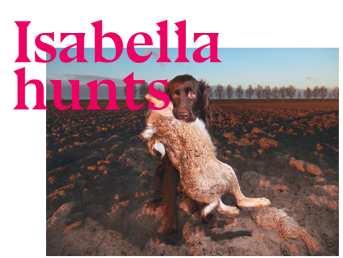 Het gesprek - Isabella Rozendaal