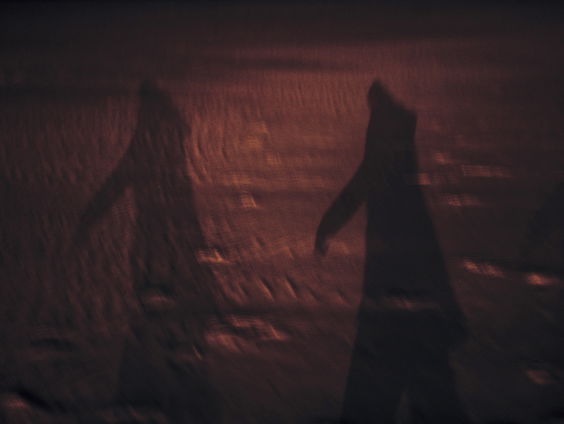 Het gesprek - Stephan Vanfleteren