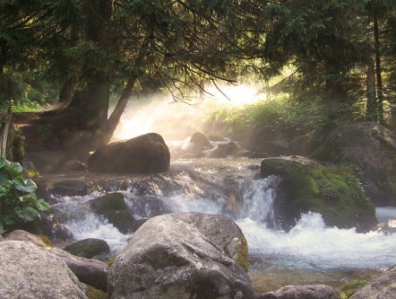 19:14u Gedicht: Met de stroom mee, van Tomas Tranströmer