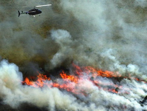 Bosbranden woeden in Australië