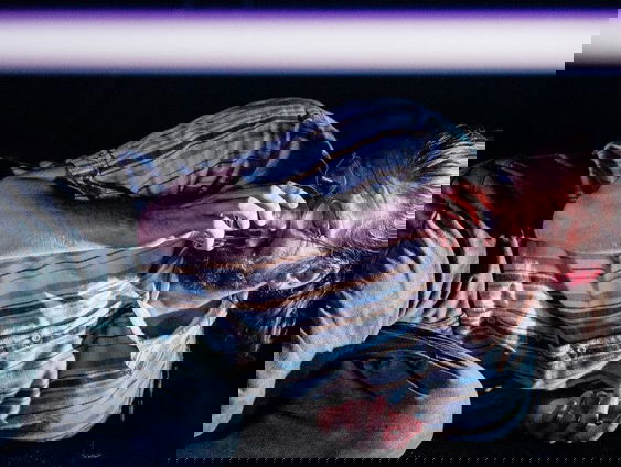 Het gesprek - Thibaud Delpeut