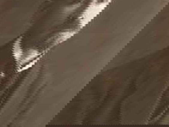 Kettingreactie 19 juli 2021