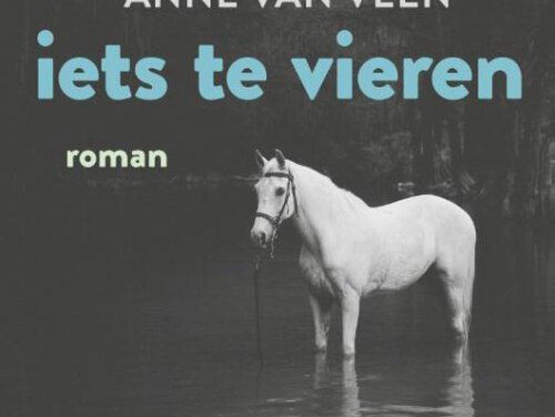 Het gesprek - Anne van Veen deel 2