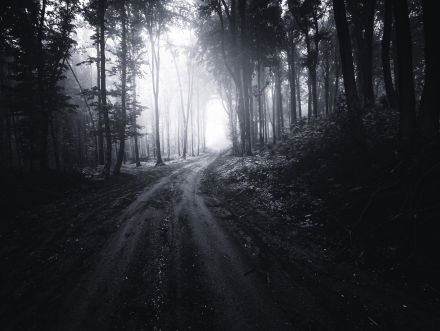 19:15u Gedicht: Hoop van Czeslaw Milosz