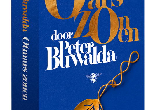 Het gesprek - Peter Buwalda