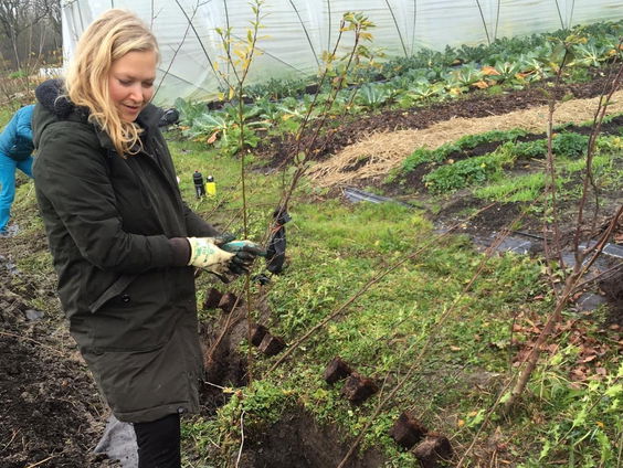 Mooi Moment: Groene vingers