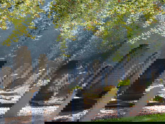 Gedicht: Limburgs kerkhof van Frans Muller