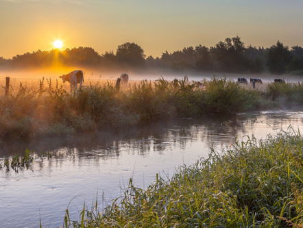 19:30u Hollandsche Nieuwe! Dances van Egon Kracht en New World Quartet/3