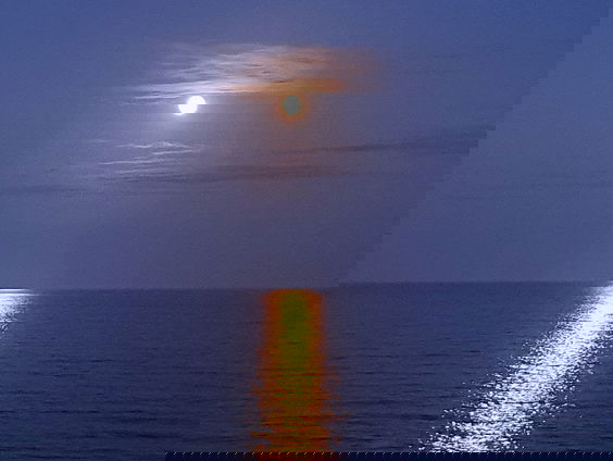 RadioReisDienst: Verliefd in Frankrijk