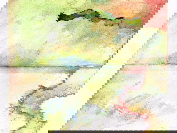 Gedicht: De laatste framboos van Elly Stolwijk