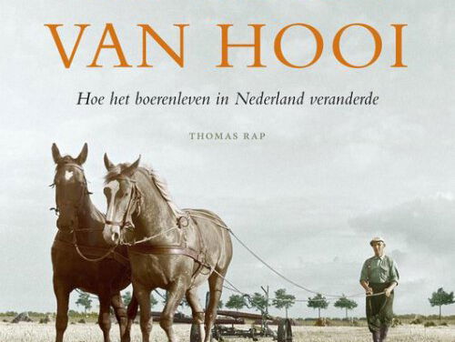 Het gesprek - Tialda Hoogeveen