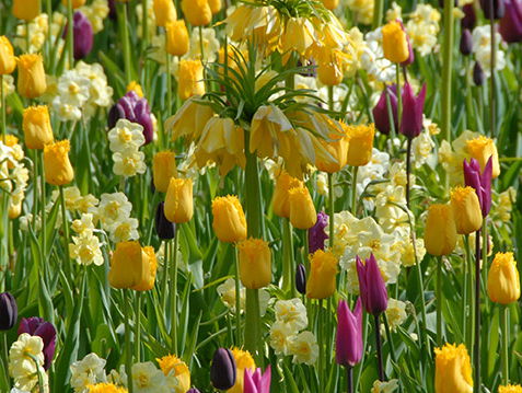 Mooi Moment: Lenteavonturen