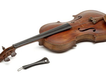 Museumtip: Getekend in het Museon