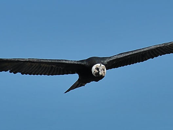 RadioReisDienst: Peru