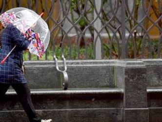 19:05 Gedicht: Herfst, van Hanny Michaelis