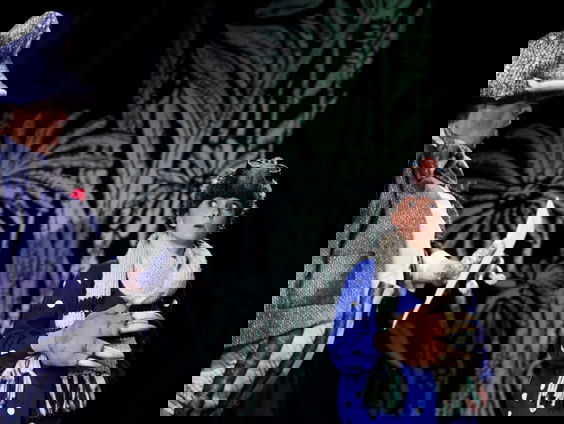 Korte inhoud van Een lied voor maan en L'enfant et les sortilèges