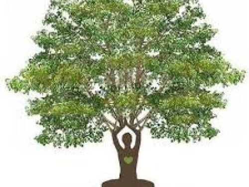 19:05 Gedicht: Dryade, van Gerrit Achterberg