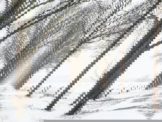 Gedicht: de winter staat stil, van Gerrit Kouwenaar