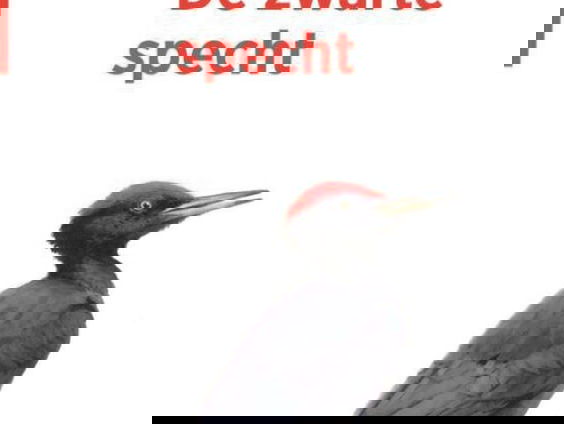 Het gesprek - Koos Dijksterhuis