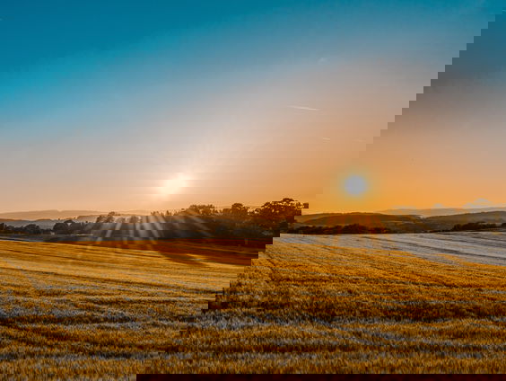 Voor De Dag Aubade #7