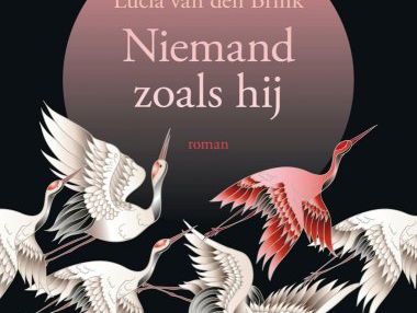 Het gesprek - Lucia van den Brink