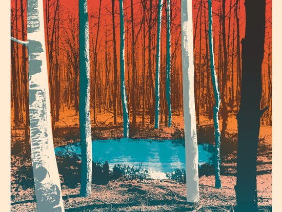 Boek van de week: In mijn mand