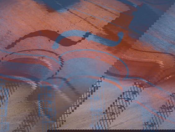 Lekkere Track: Het geheim van een goede viool