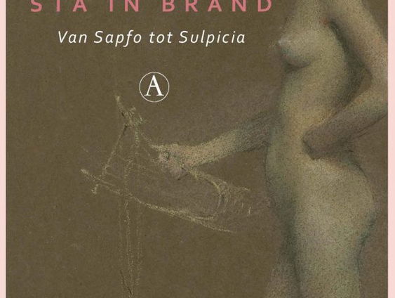 Het gesprek - Mieke de Vos