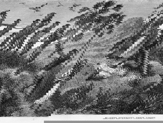 Gedicht: ik wou zo graag, van Antoine de Kom