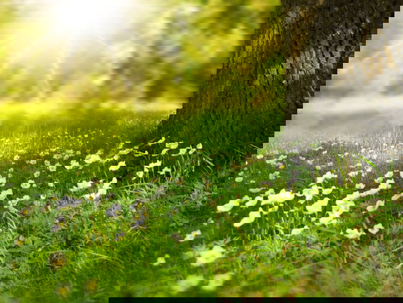 Mooi Moment: De zon schijnt!