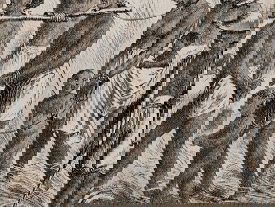 Gedicht: Ik accepteer de amoraliteit van de natuur als die van mijzelf en de vrije wil van anderen