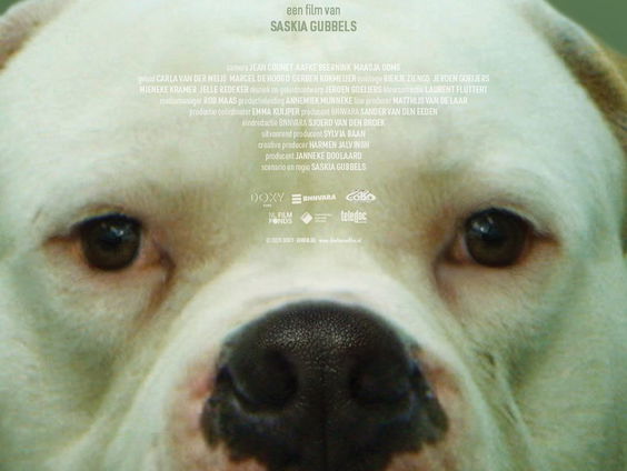 Het gesprek - Saskia Gubbels