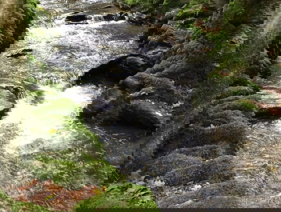 Kettingreactie 1 oktober 2021