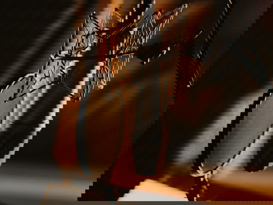 Lekkere Track: Nieuwe muziek van Barbra Streisand