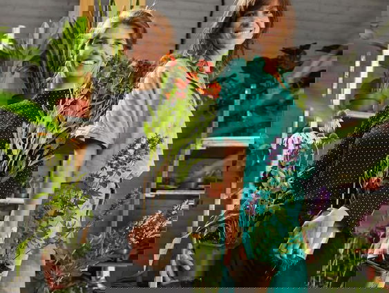 De Menselijke Maat: Sprinklr