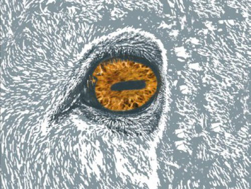 Het gesprek - Yves Petry