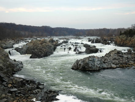 19:05 Poëzie: Op het zingen van een vogel aan de oever van de Potomac, van Milosz
