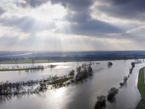 Museumtip: Machtige Maas