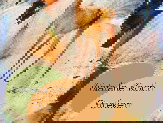 Donderdag - Klassieke Bibliotheek: Natalie Koch - Streken
