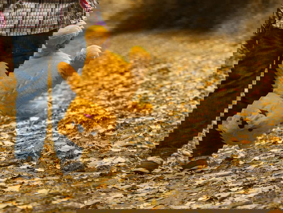 Lekkere Track: Winnie de Poeh