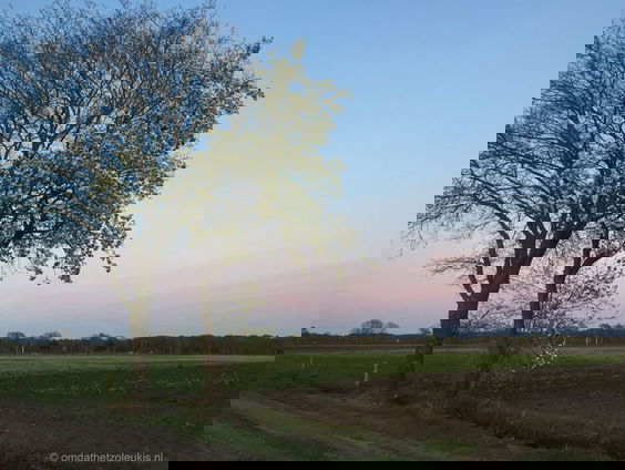 Gedicht: Hoeveel woorden, van Nyk de Vries