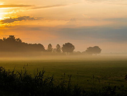 19:45u Liedcyclus: Mörike Lieder van Wolf nr. 24 'In der Frühe'