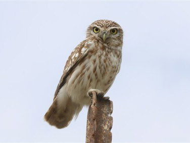 Het weekend van Ronald van Harxen