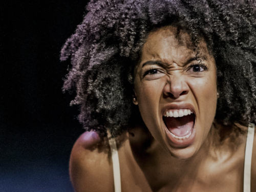 Het gesprek - Joy Delima