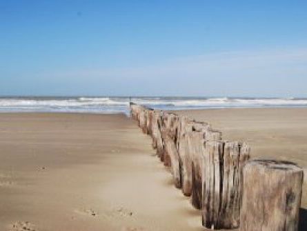 19:13u Gedicht: Eb, van Vasalis