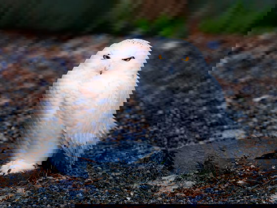 Lekkere Track: Oogjes dicht en snaveltjes toe