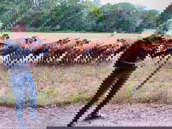 Lekkere track: Doyna - Traditional