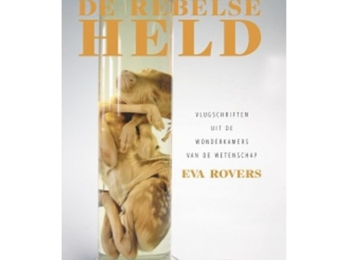 Het gesprek - Eva Rovers