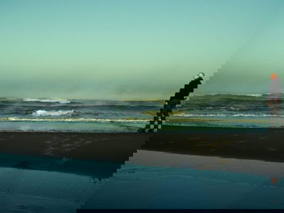 Hollandse Nieuwe! Birth of a lifetime van Denhollander, deel V: Twin Peaks